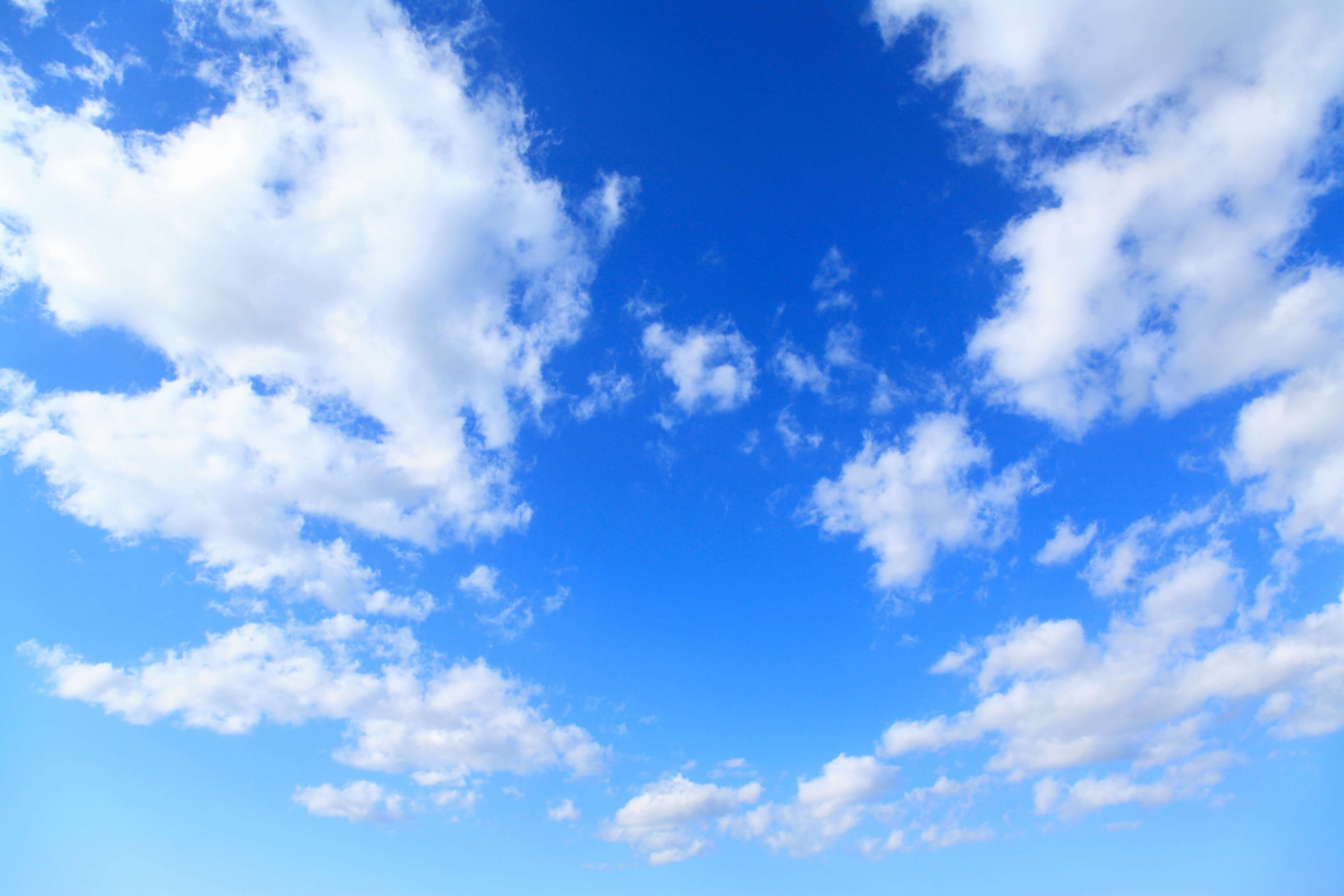 画像のキャプション 2